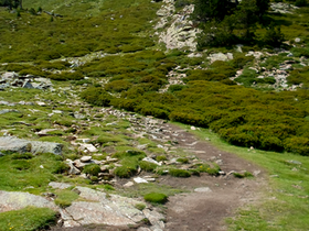 Le Canigou  Photo24.png